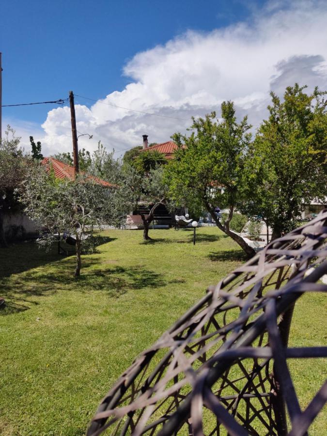 Villa Elina House And Garden à Nikiti  Extérieur photo