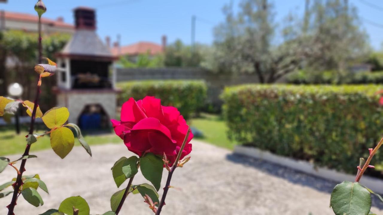 Villa Elina House And Garden à Nikiti  Extérieur photo